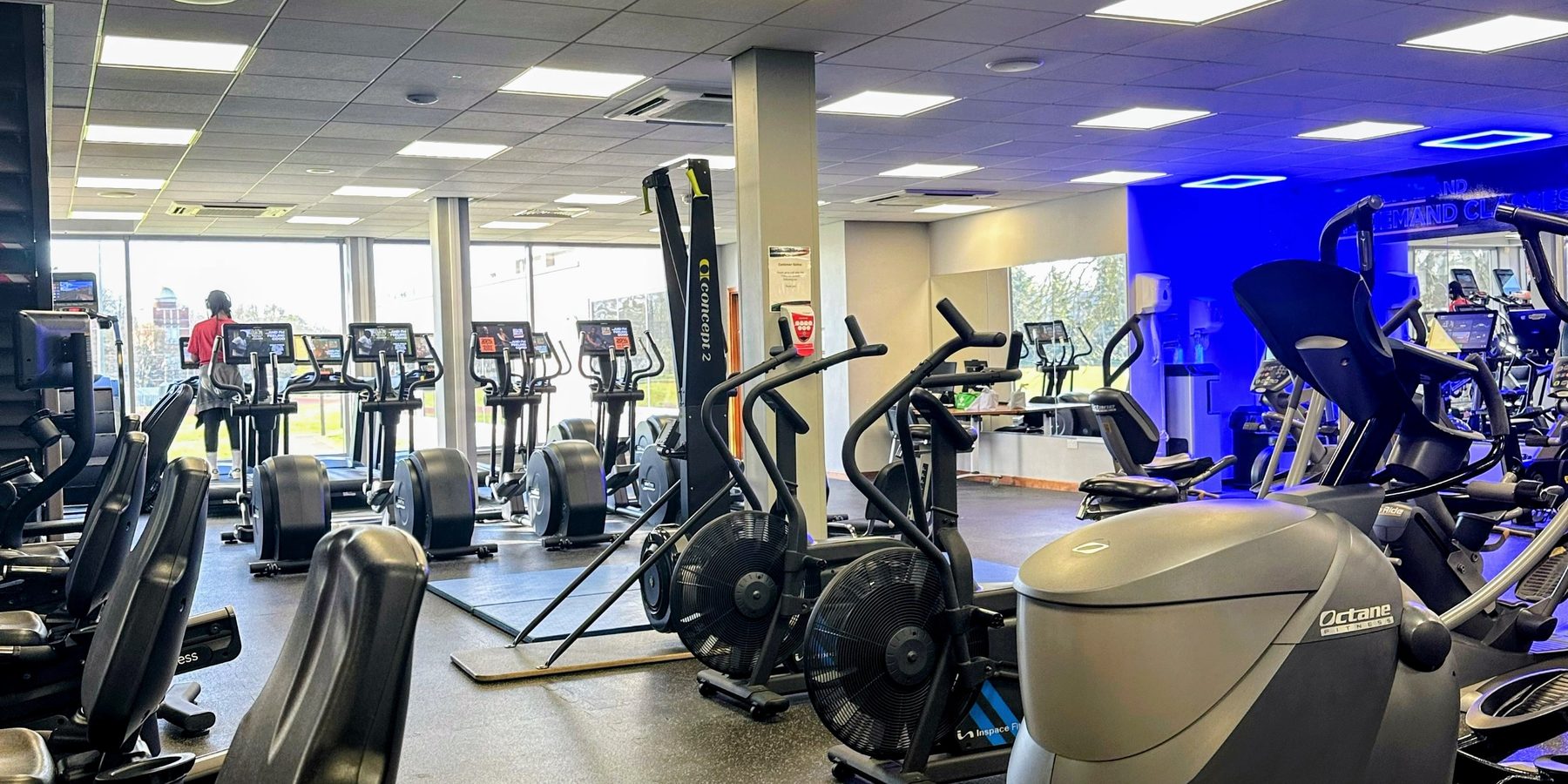 Interior de academia com fileiras de esteiras, elípticos e bicicletas ergométricas, teto iluminado e parede azul da área de aulas ao fundo